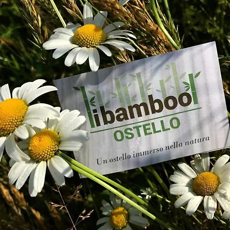 I Bamboo *